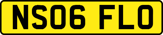 NS06FLO