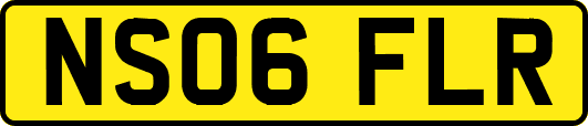 NS06FLR
