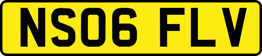 NS06FLV