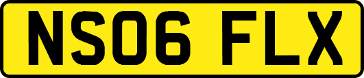 NS06FLX