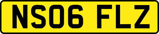 NS06FLZ