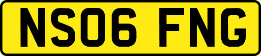 NS06FNG