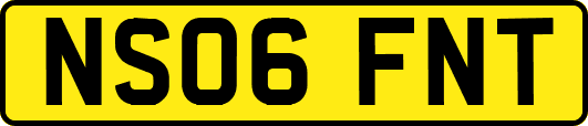 NS06FNT
