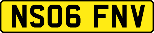 NS06FNV