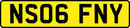 NS06FNY