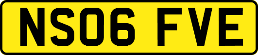 NS06FVE
