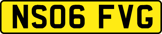 NS06FVG