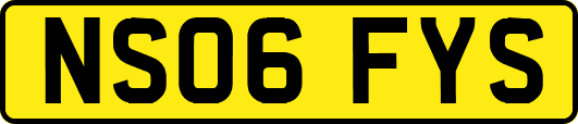 NS06FYS
