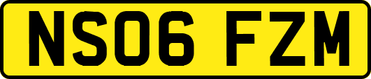 NS06FZM