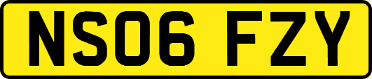 NS06FZY