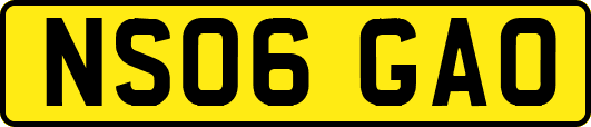 NS06GAO