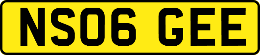 NS06GEE