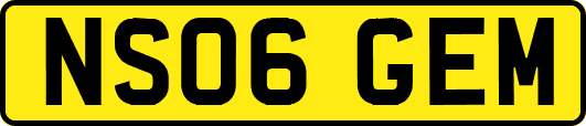 NS06GEM