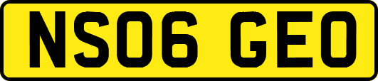 NS06GEO