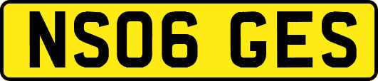 NS06GES