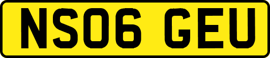 NS06GEU