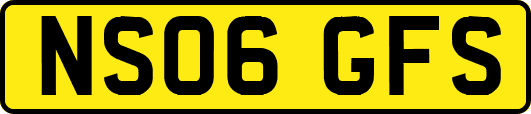 NS06GFS