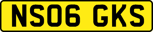 NS06GKS