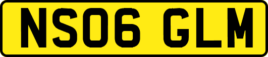 NS06GLM