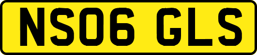 NS06GLS