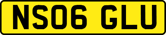 NS06GLU