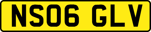 NS06GLV