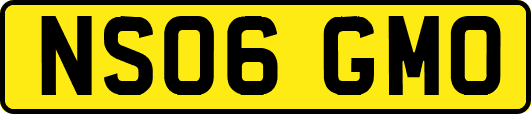 NS06GMO