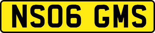 NS06GMS