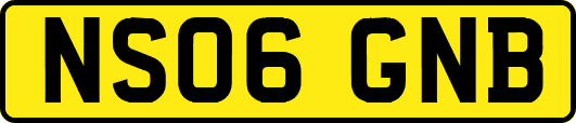 NS06GNB