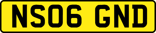 NS06GND