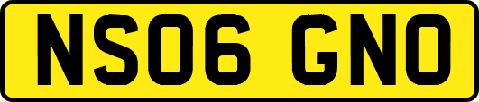 NS06GNO