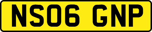 NS06GNP