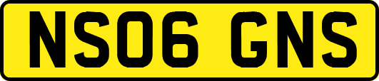 NS06GNS