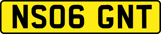 NS06GNT