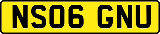 NS06GNU