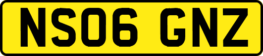 NS06GNZ