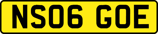 NS06GOE