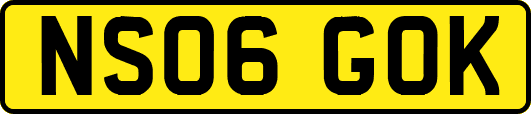 NS06GOK