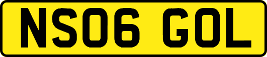 NS06GOL