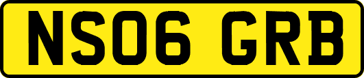 NS06GRB