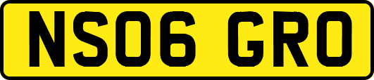 NS06GRO