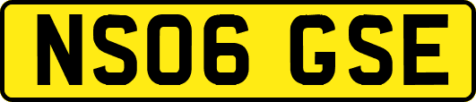 NS06GSE