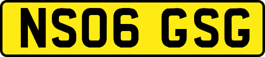 NS06GSG