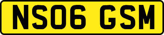 NS06GSM