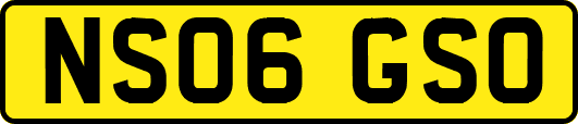 NS06GSO