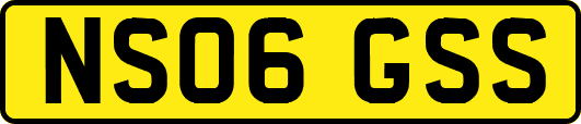 NS06GSS