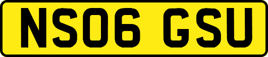 NS06GSU