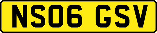 NS06GSV