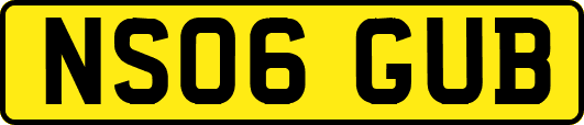 NS06GUB