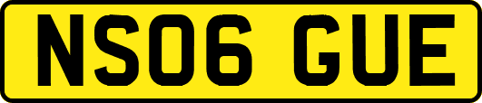 NS06GUE